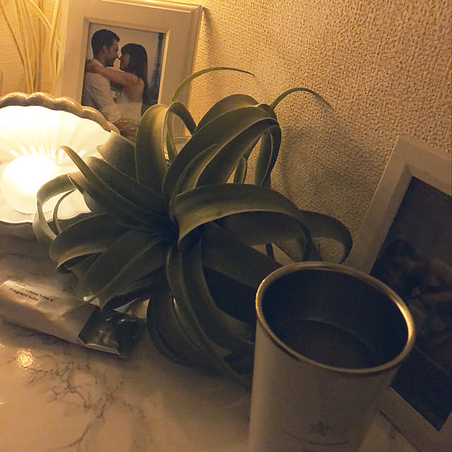 akistyleさんの実例写真