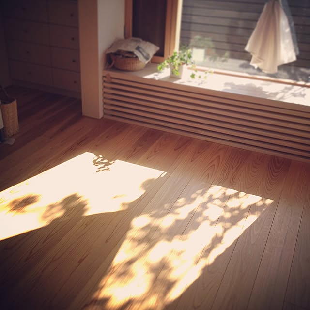 Sachiさんの実例写真
