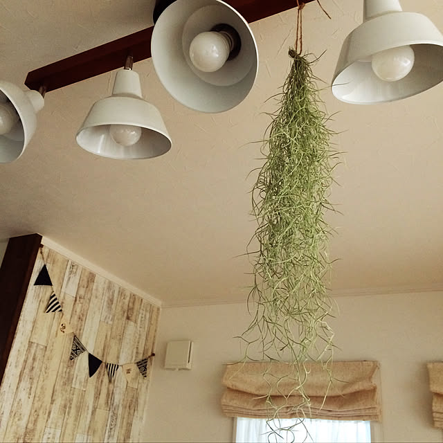 y.roomさんの実例写真