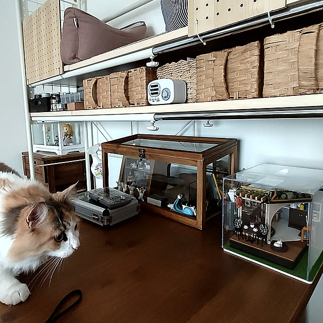 +CHIHARU+さんの実例写真
