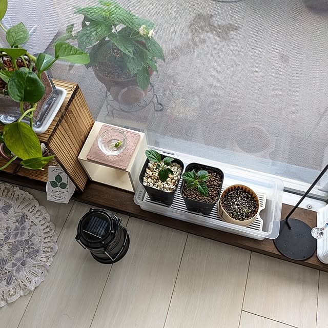 mi-saさんの部屋