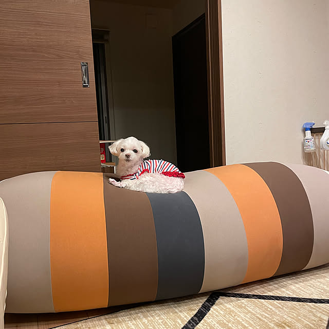 Shihoさんの実例写真