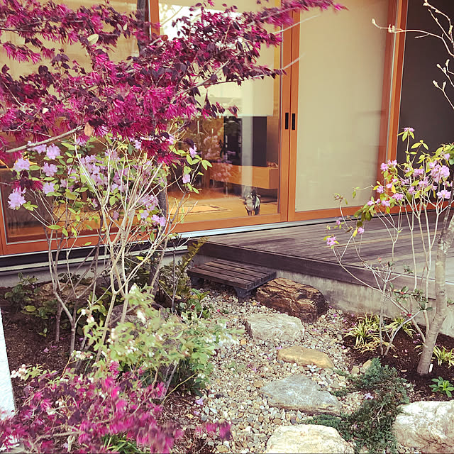 naobeeさんの実例写真