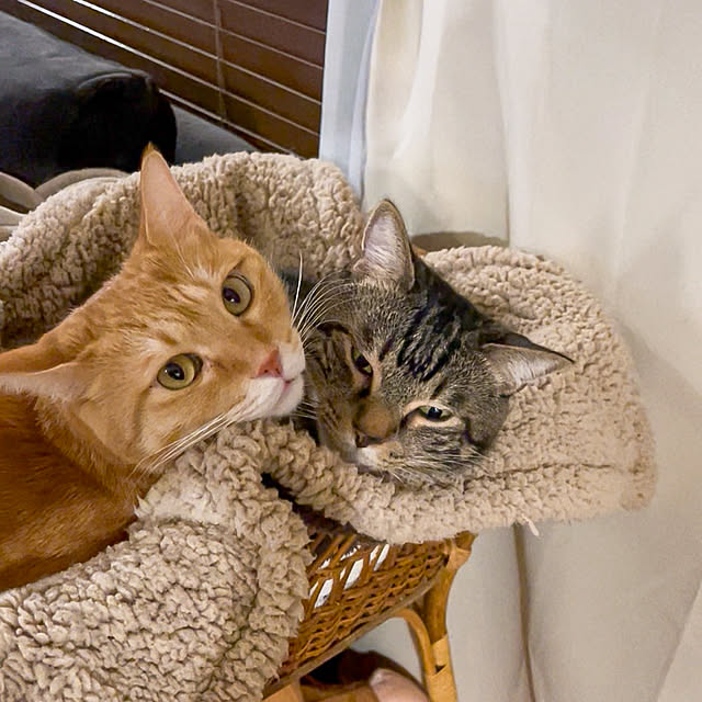 rijuさんの実例写真