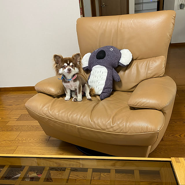 chIoeさんの実例写真