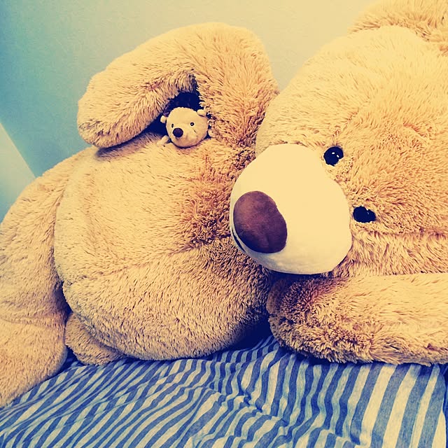 ayaさんの実例写真