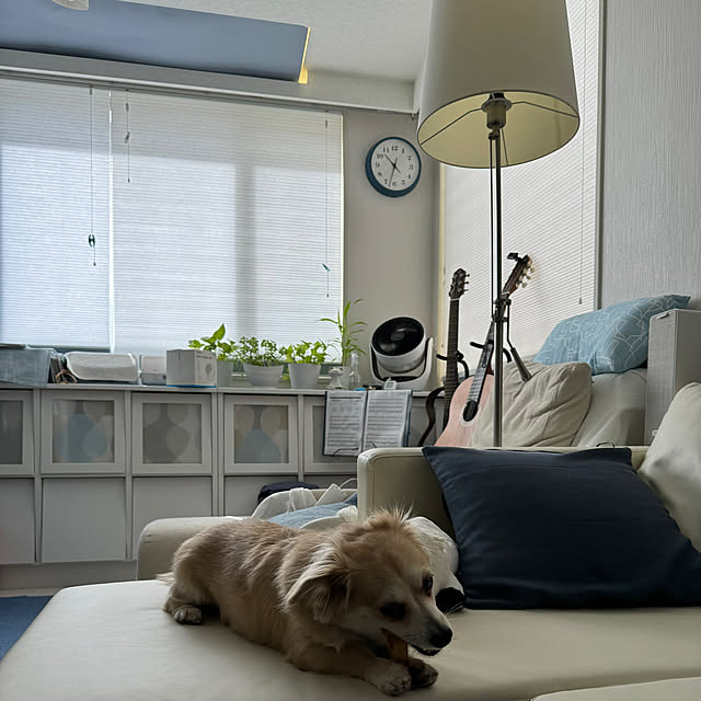 Rainyさんの実例写真