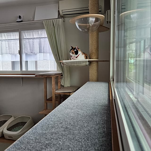 koyurizuさんの部屋