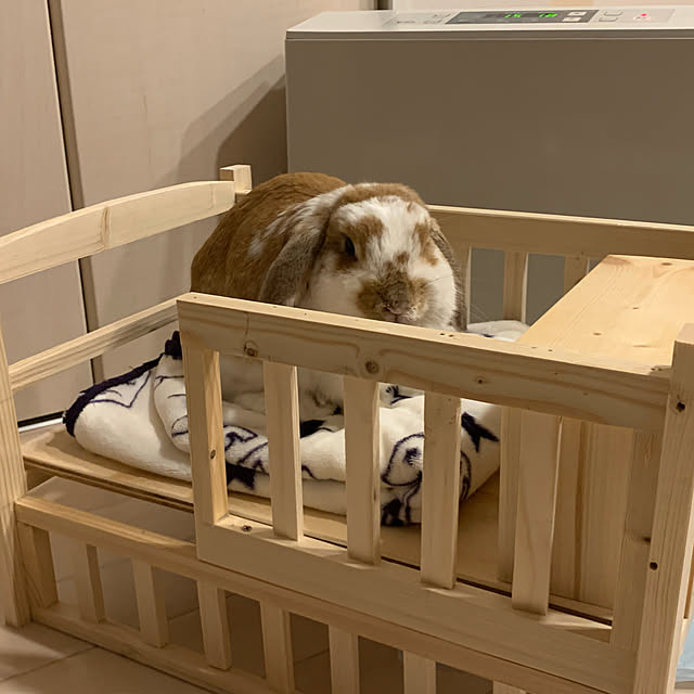 RABIHAさんの実例写真