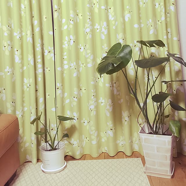 norisanさんの実例写真