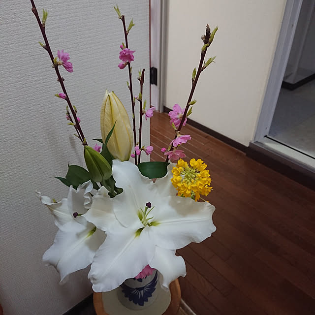 hopkeiさんの実例写真