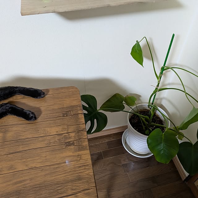 asaさんの部屋