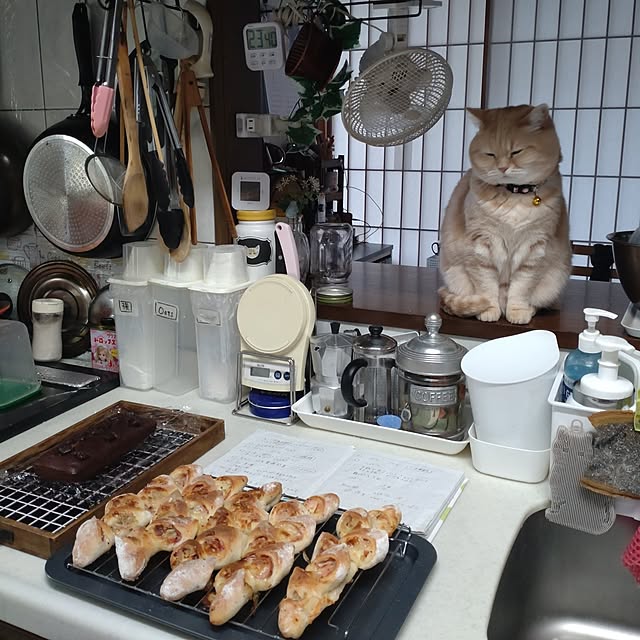 mntcさんの部屋