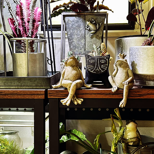 DAYONEさんの実例写真