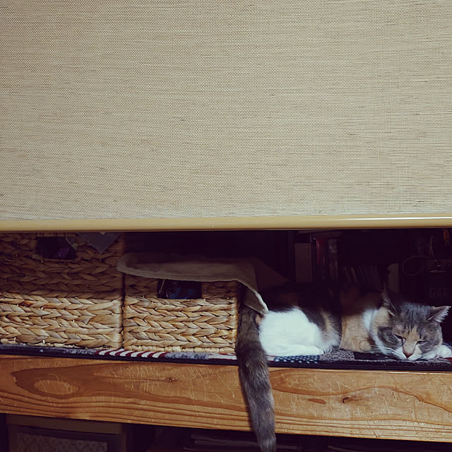 fukuさんの実例写真