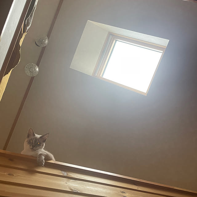 3ho5さんの部屋