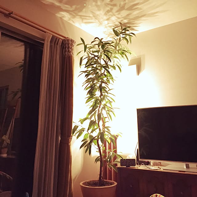 mojaさんの実例写真