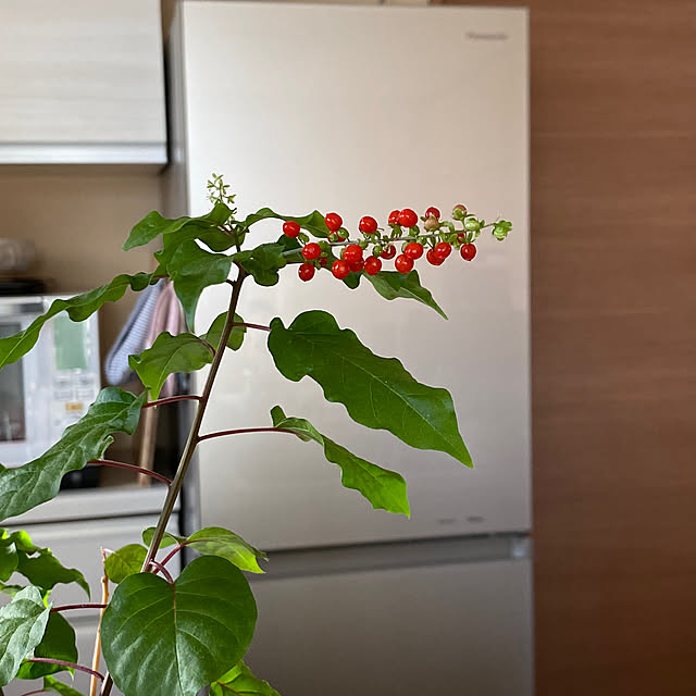 yukoさんの部屋