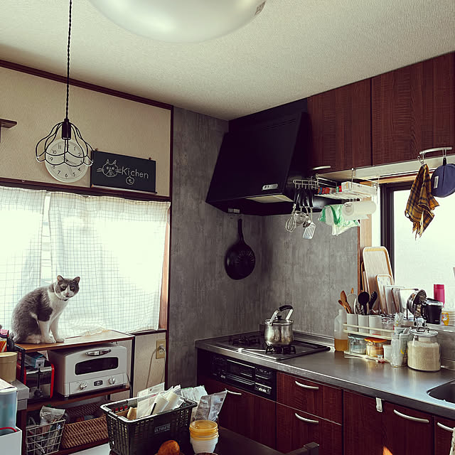 hacchiさんの実例写真