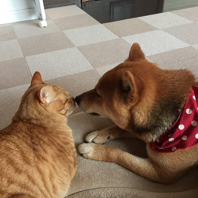mtkさんの実例写真