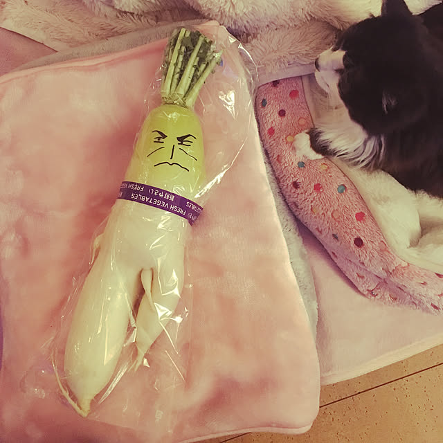 kanaさんの実例写真