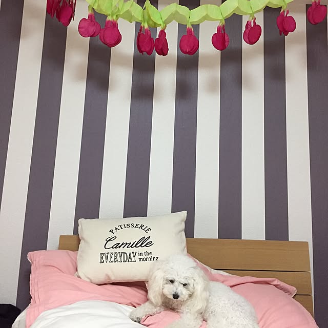 sei.hugさんの実例写真