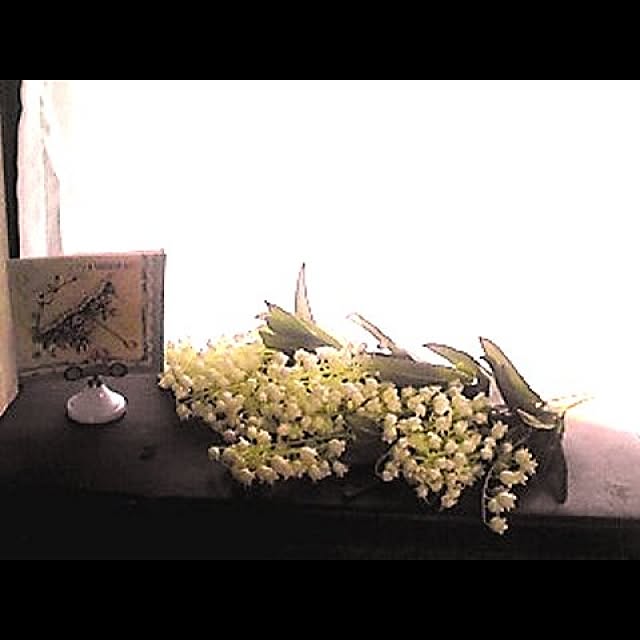 20rose_mamiさんの実例写真