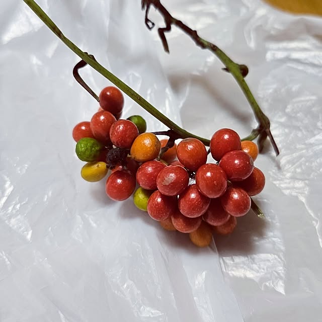 mocomocoさんの部屋