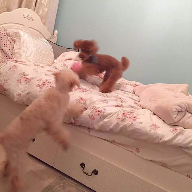 Naomiさんの実例写真