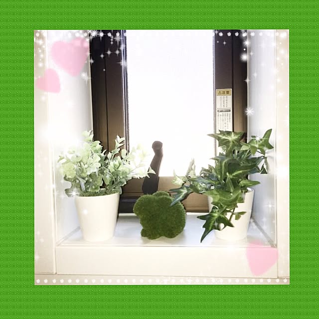 Apple222さんの実例写真