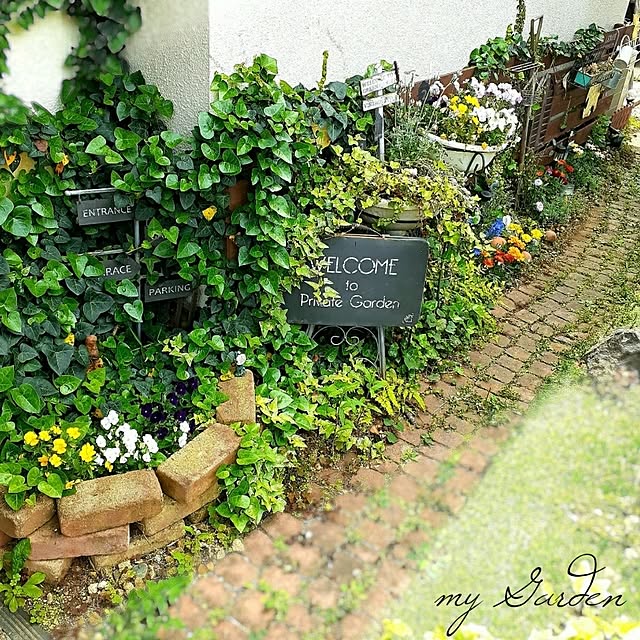 naoporonさんの部屋