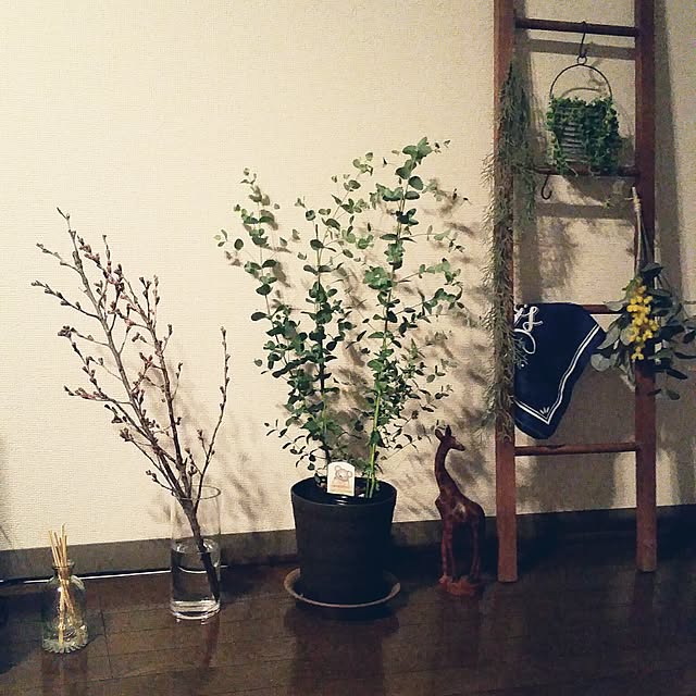 pinkoさんの実例写真