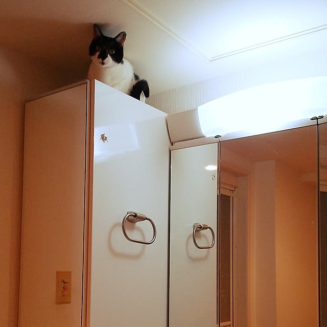 NOAHさんの部屋