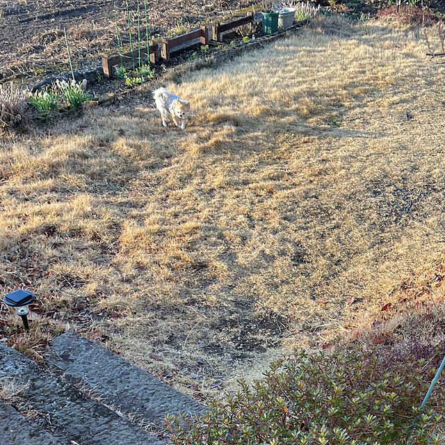 natsumiさんの部屋