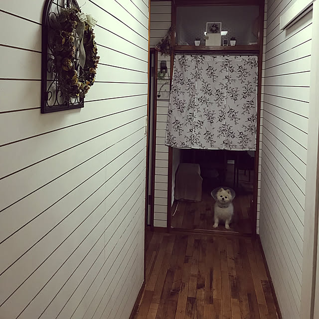 tekapoさんの実例写真