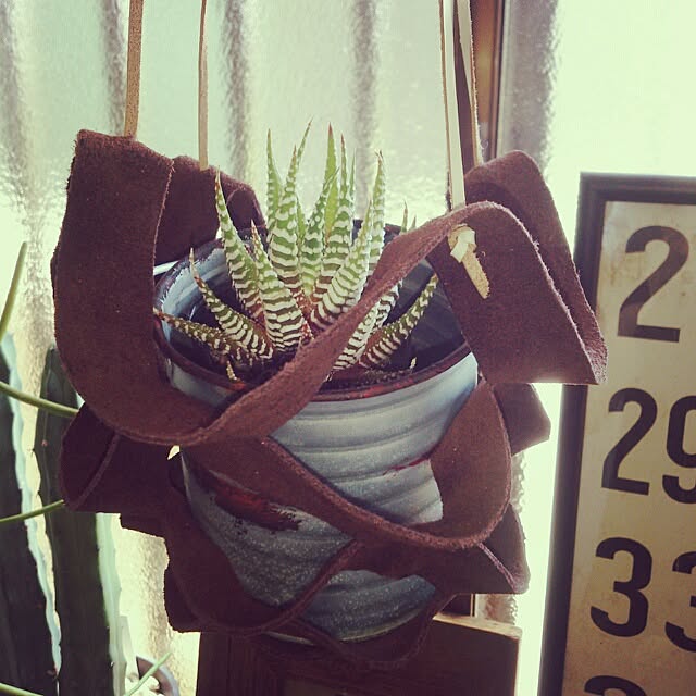 usukoさんの実例写真