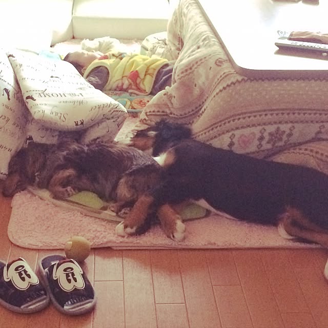 mikiさんの実例写真