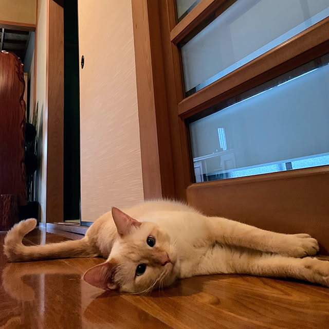 mohhaさんの実例写真