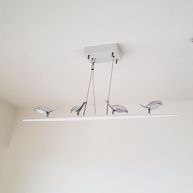 壁/天井/鳥が照らす生活のインテリア実例 - 2019-06-30 18:57:56