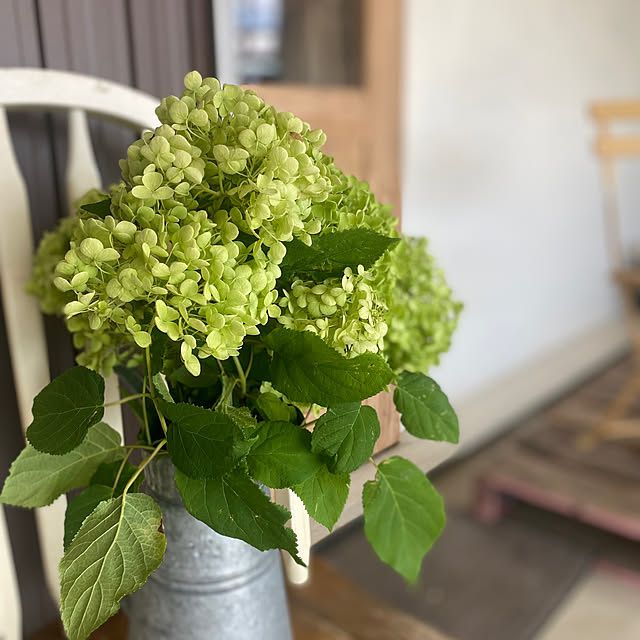 taakoさんの部屋