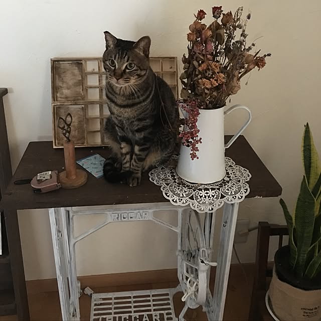 konnakanjiさんの実例写真