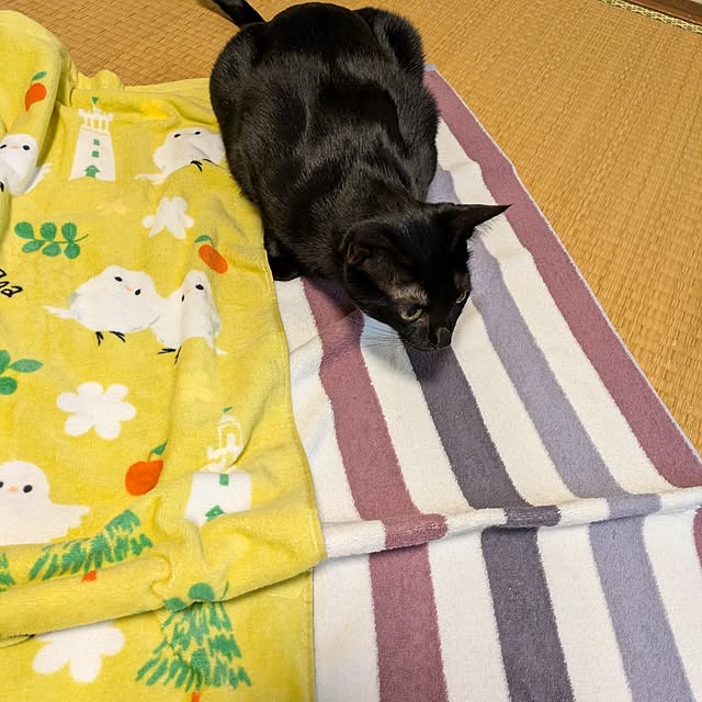 asaさんの部屋