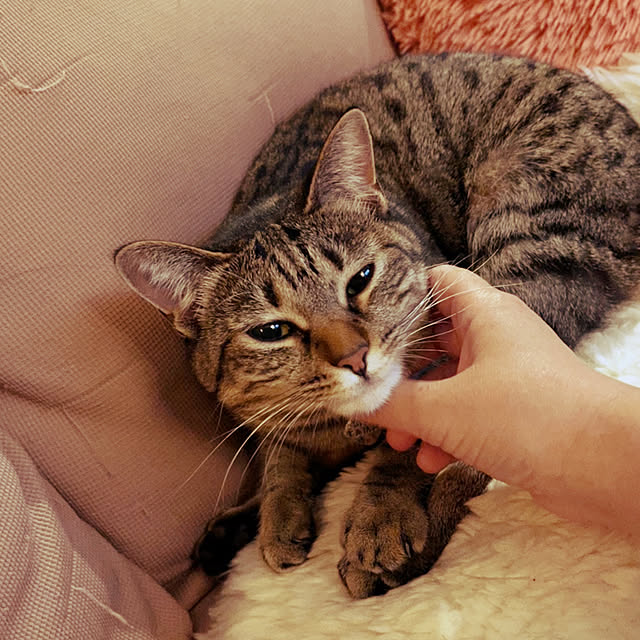 Mさんの実例写真