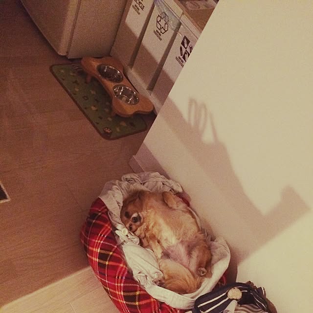 ayapiiiiceさんの実例写真