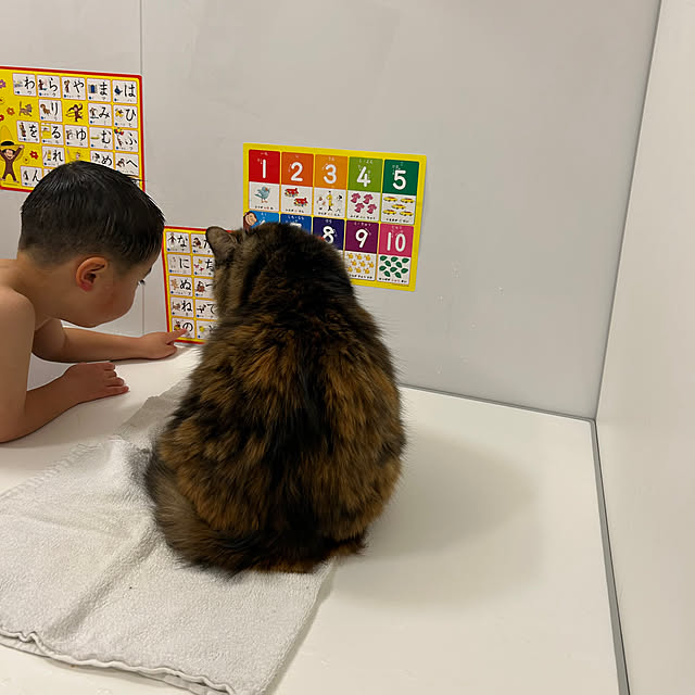 mikomaruさんの部屋