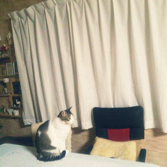 Tomopさんの実例写真