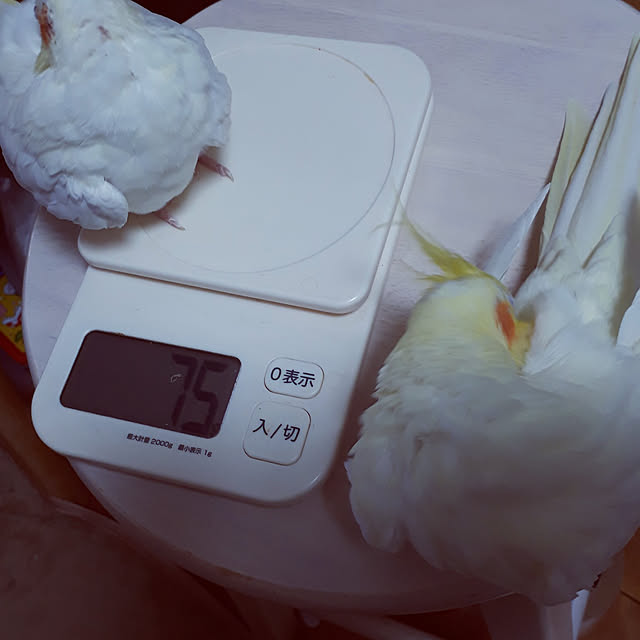 ANTENNAさんの実例写真