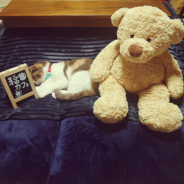 fukuさんの実例写真