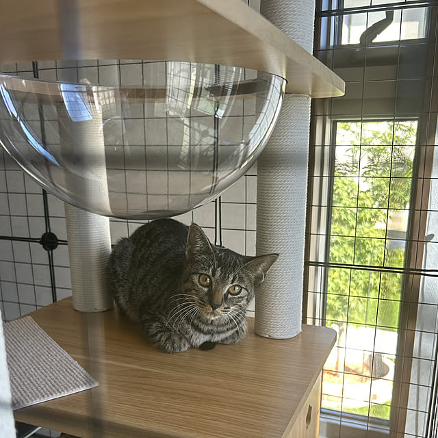 yunyumさんの部屋