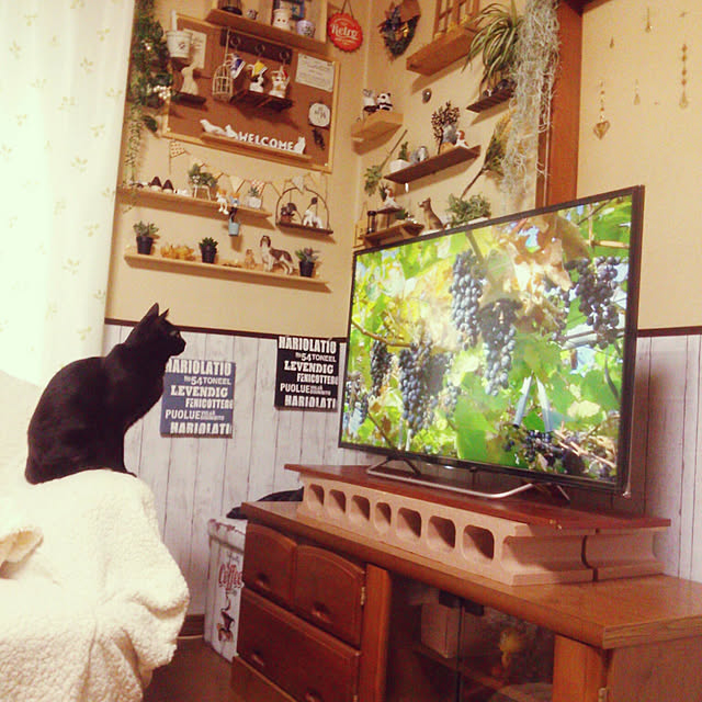 Tomopさんの実例写真